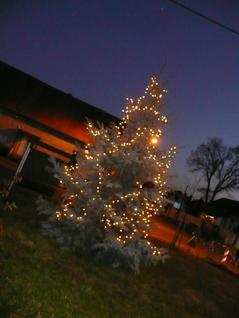 Rozsvícení vánočního stromečku 2012
